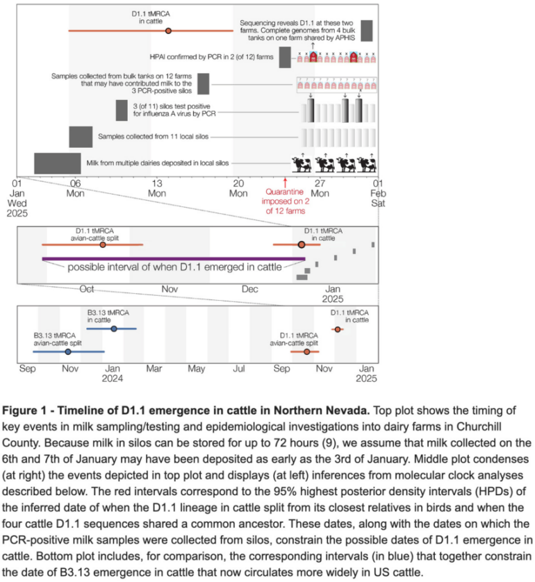 Politics: H5n1 Genotype D1.1: Understanding Its Evolution, Risks, And Public