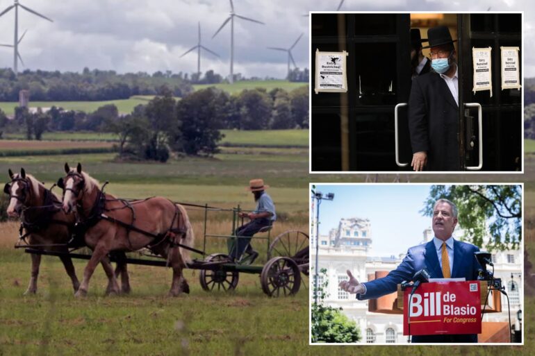 Politics: ny's amish, vaccinations and the battle for the 'greater