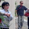 Gossip & rumors: weezer bassist scott shriner’s wife seen for