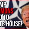 Trump Summons NATO to the White House, the Reason Why will SHOCK YOU!