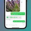 An iPhone on a blue and green background showing an RCS message conversation