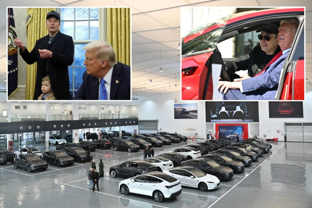 Science & tech: tesla to delay us launch of cheaper model