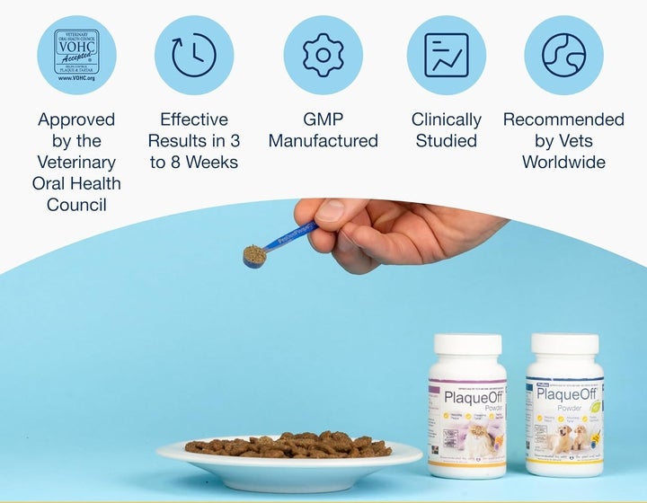 ProDen’s Plaque Off dental powder helps prevent the formation of new plaque, softens existing tartar and improves bad breath, according to ProDen.