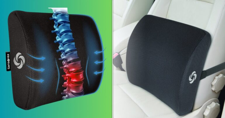 Travel & lifestyle: lumbar support pillow for back pain on
