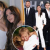 Gossip & rumors: did nicola peltz just throw shade at
