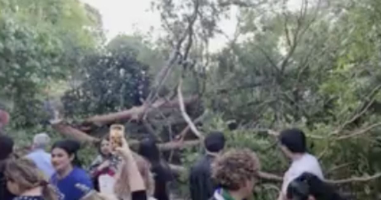 12 Injured After Tree Falls During Graduation Ceremony * 100PercentFedUp.com * by Andi