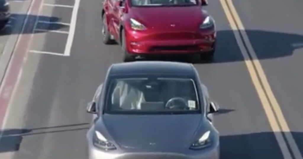 Tesla Driverless Robotaxis Coming Soon? * 100PercentFedUp.com * by Danielle