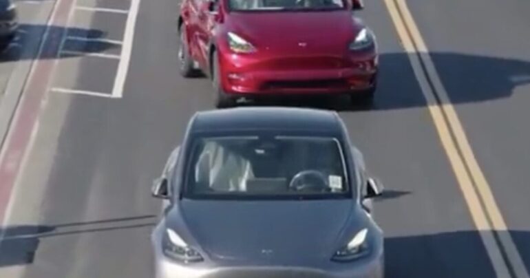 Tesla Driverless Robotaxis Coming Soon? * 100PercentFedUp.com * by Danielle