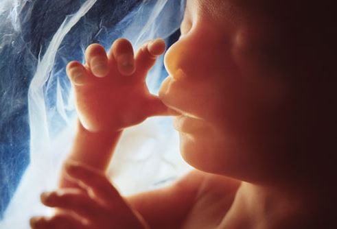 Politics: abortion clinic shuts down after being open for 50