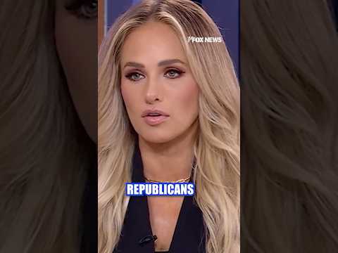 Politics: tomi lahren: this can never be allowed to happen