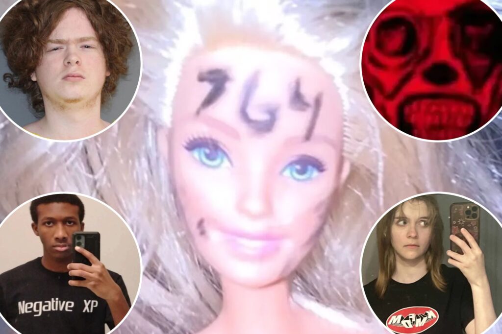 Politics: violent online networks like '764' show how terrifying the