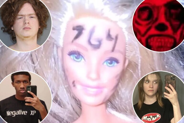Politics: violent online networks like '764' show how terrifying the