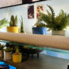 The Sonos Arc Ultra in a living room, in front of plants and personal niknaks