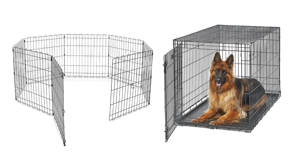 Travel & lifestyle: vet approved products to help calm anxious dogs