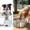 Travel & lifestyle: water fountains can help your pet's health,