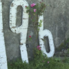 796 Babies' Remains Found In Septic Tank * 100PercentFedUp.com * by Andi