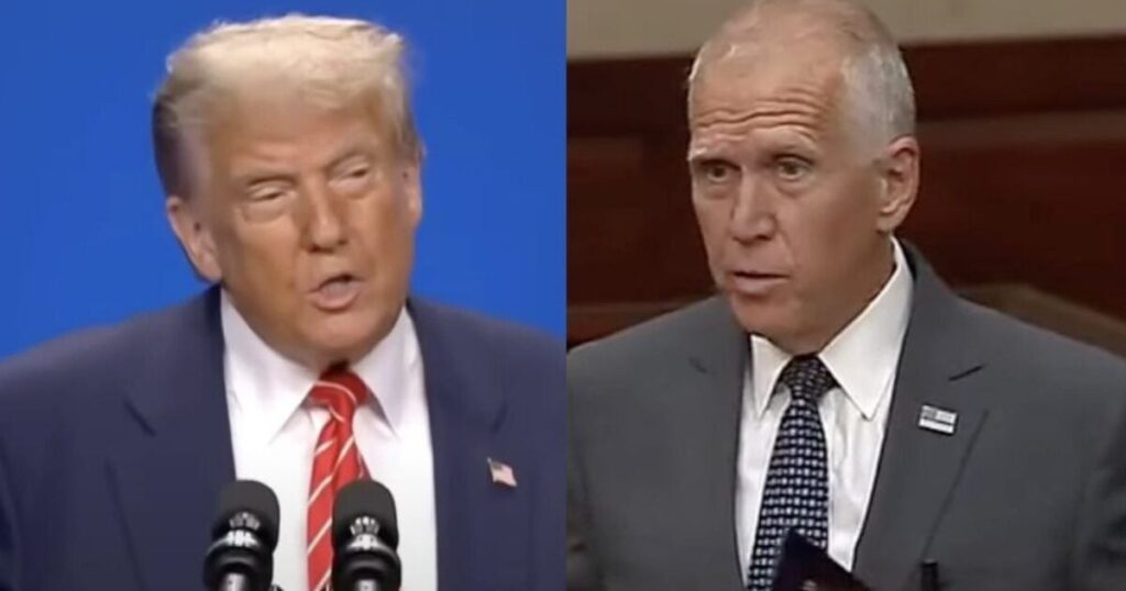 President Trump Announces He Will Back Candidate To Primary Republican Senator Thom Tillis * 100PercentFedUp.com * by Anthony