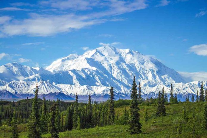 Snowcovered mountain under blue sky with green foreground