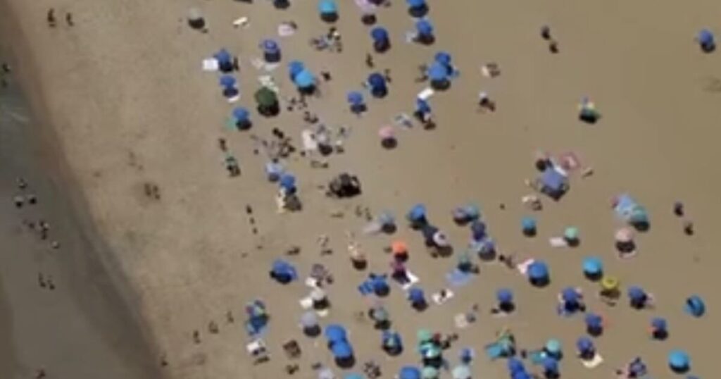 Umbrella Impales Lifeguard On Beach * 100PercentFedUp.com * by Danielle