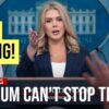 HUGE WHITE HOUSE UPDATES: More ICE Raids, More Marines in LA and Defeating Newscum's Lies!
