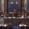 Politics: man arrested for interrupting senate debate on one big