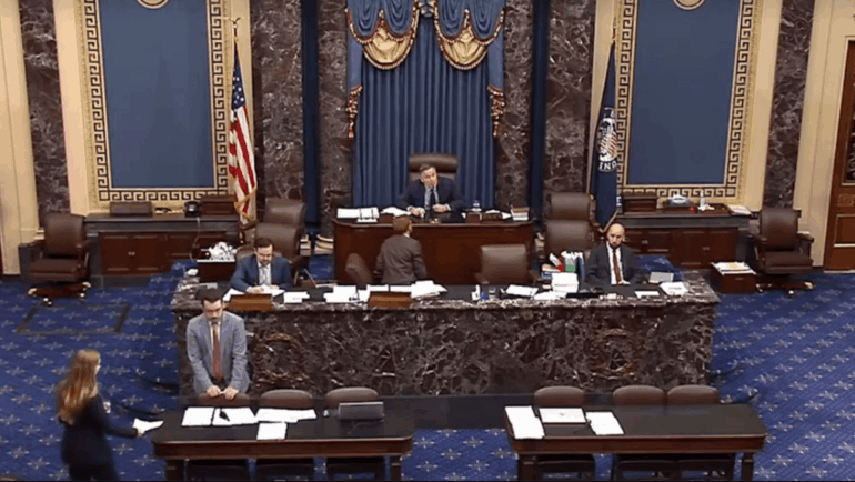 Politics: man arrested for interrupting senate debate on one big