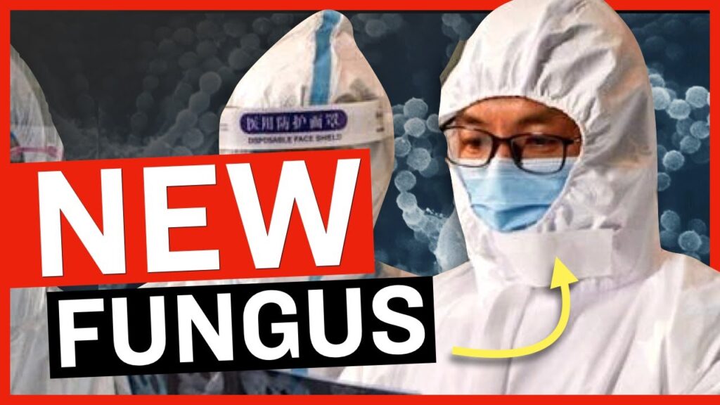 The Deadly FUNGUS Chinese "Scholars" Have Snuck into the MIDWEST