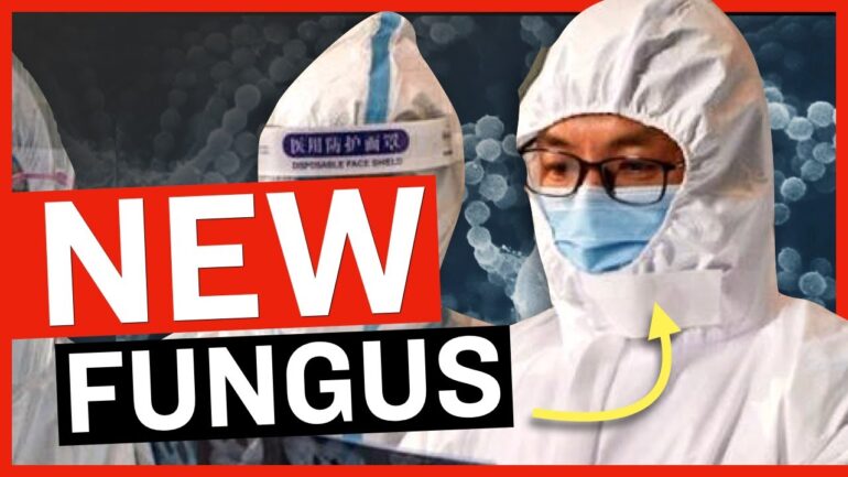 The Deadly FUNGUS Chinese "Scholars" Have Snuck into the MIDWEST