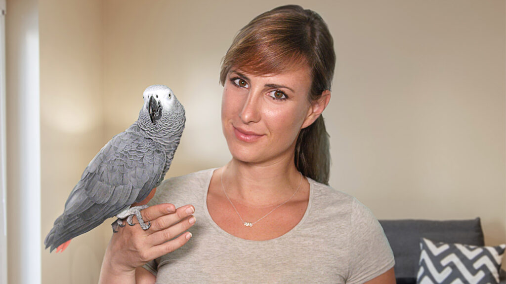 Satire news: study: more single millennials settling for parrot who