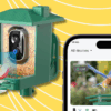 Travel & lifestyle: this discounted smart bird feeder will identify