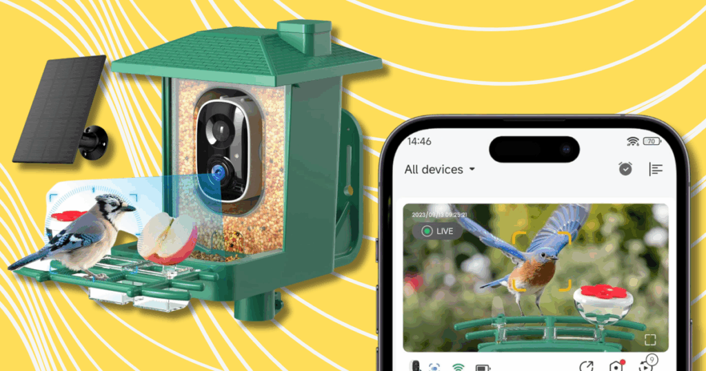 Travel & lifestyle: this discounted smart bird feeder will identify