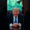 AMERICA 250: JOIN US ON JUNE 14, 2025