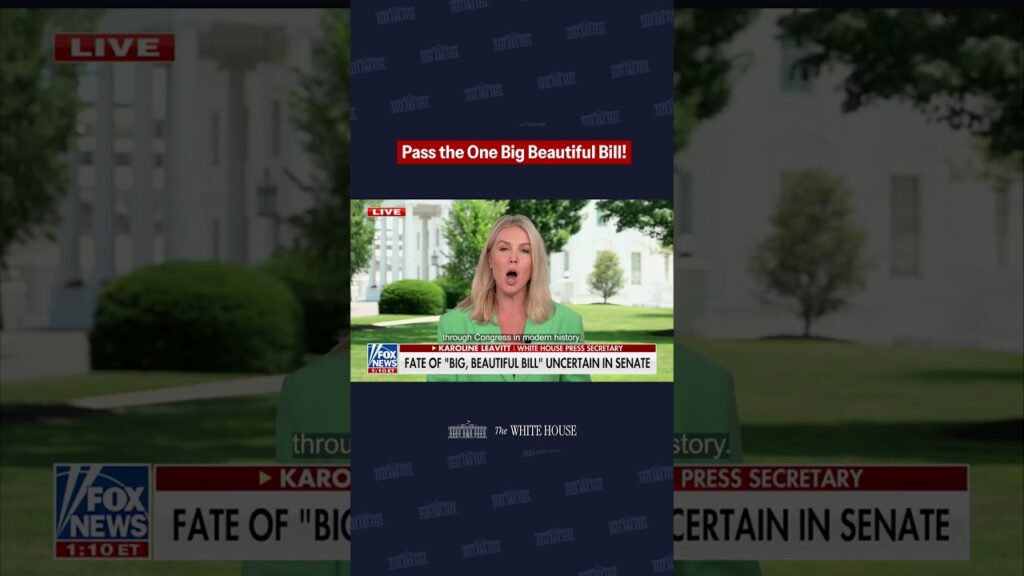 Press Secretary Karoline Leavitt on why the Senate must pass the One Big Beautiful Bill.