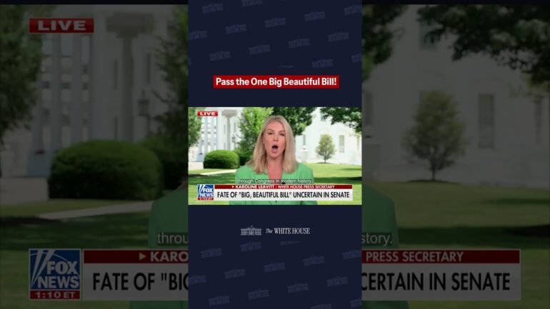Press Secretary Karoline Leavitt on why the Senate must pass the One Big Beautiful Bill.