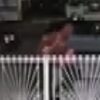 Man Accused Of Dragging Dog Down Street And Setting It On Fire, Search Continues * 100PercentFedUp.com * by Danielle