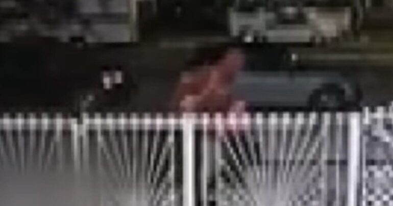 Man Accused Of Dragging Dog Down Street And Setting It On Fire, Search Continues * 100PercentFedUp.com * by Danielle