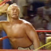 Ron DeSantis Declares New Holiday in Honor of Hulk Hogan * 100PercentFedUp.com * by Kaley