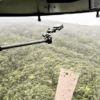 Thousands Of Genetically Modified Mosquitoes Dropped In Hawaii To Combat “Climate Change” * 100PercentFedUp.com * by Anthony