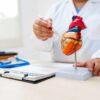 Politics: doctors humbled by ai’s heart disease discovery – ussa