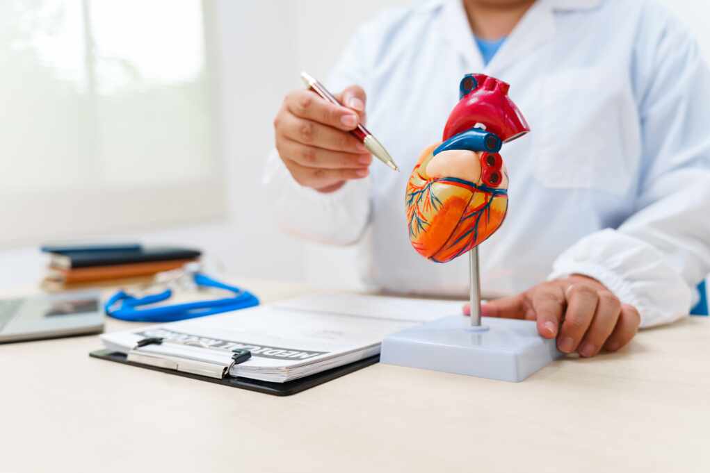 Politics: doctors humbled by ai’s heart disease discovery – ussa