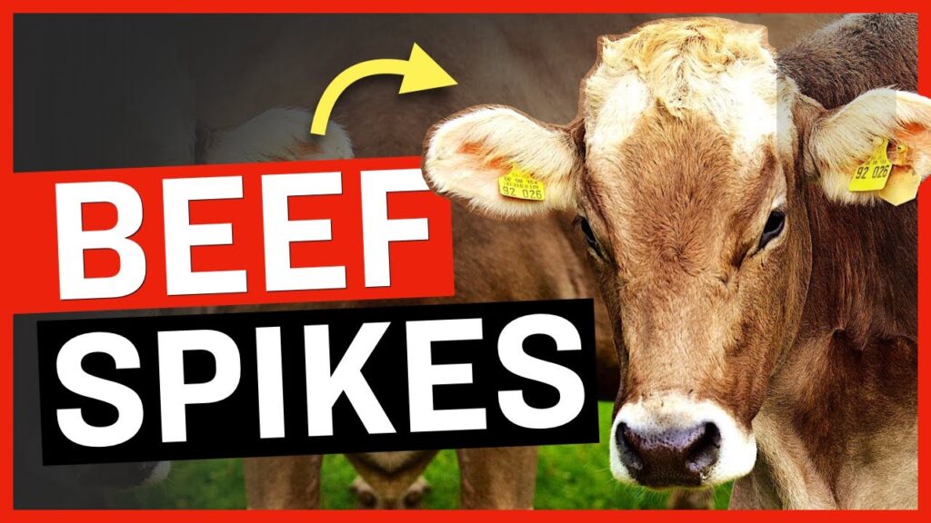 Ranchers Get Burned as GLOBAL MONOPOLY Captures 80% of Beef Market
