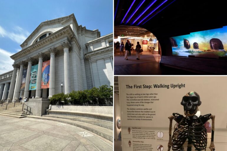 Politics: smithsonian exhibit monkeys around with the scientific evidence on
