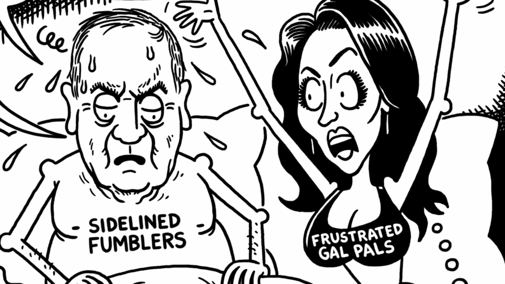 Satire news: belichick magnet
