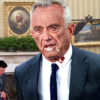 Satire news: rabid rfk jr. bites foreign dignitary