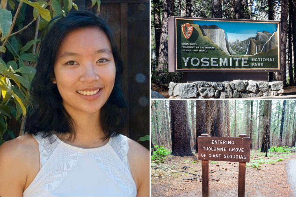Science & tech: 29 year old google engineer dies in freak accident