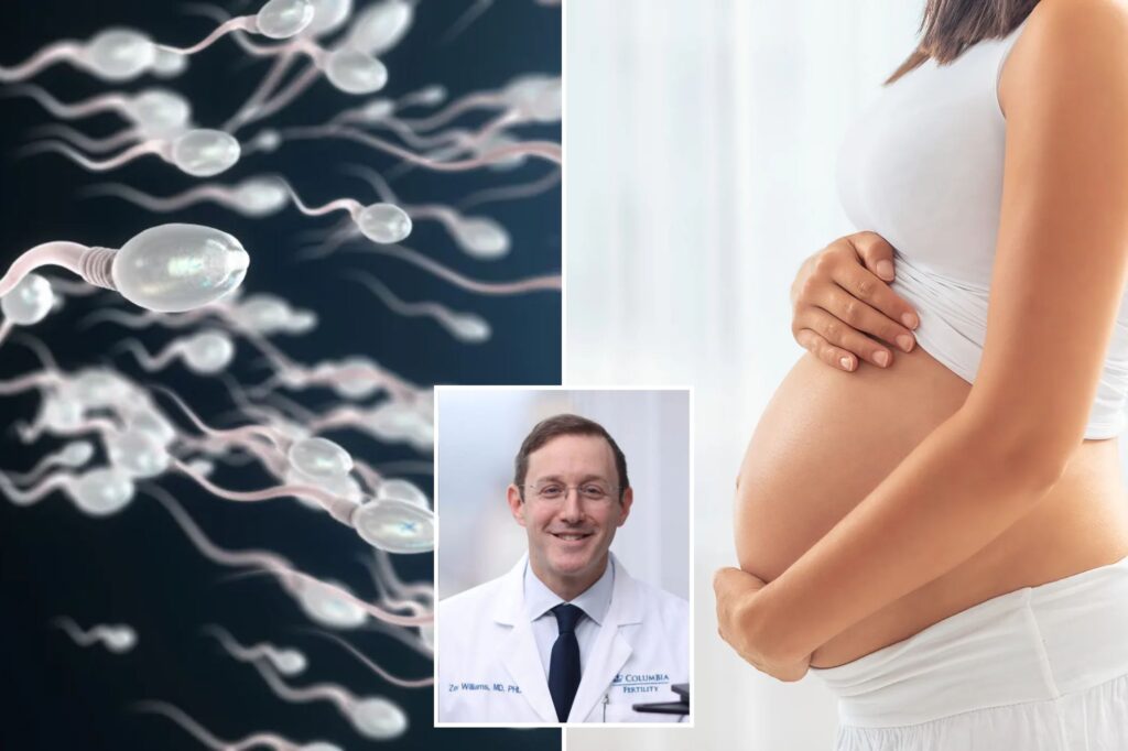 Science & tech: ai helps couple get pregnant after 18