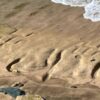 Ancient Hawaiian petroglyphs revealed by natural coastal processes on Oahu's west shore.