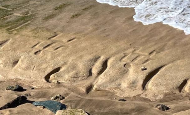 Ancient Hawaiian petroglyphs revealed by natural coastal processes on Oahu's west shore.