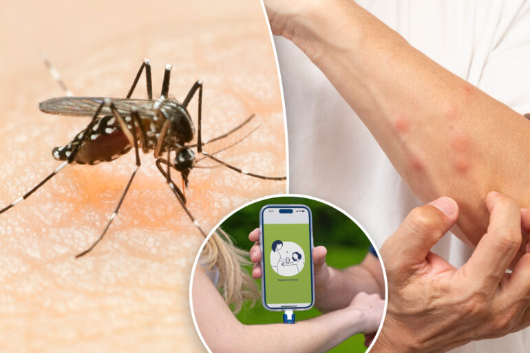 Science & tech: stop itching fast with this new phone powered