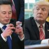 Science & tech: tesla stock plunges as elon musk reignites